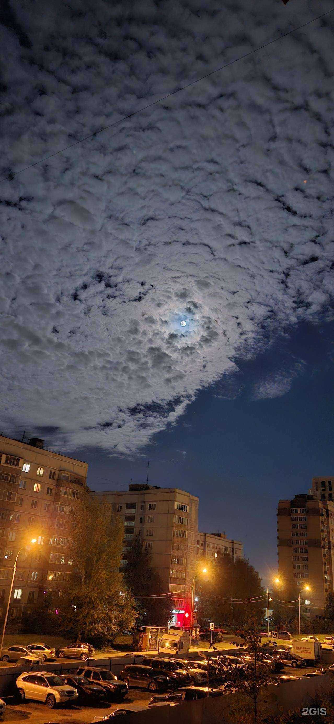 Отзывы на компанию Сибирячок в Новосибирске c фото