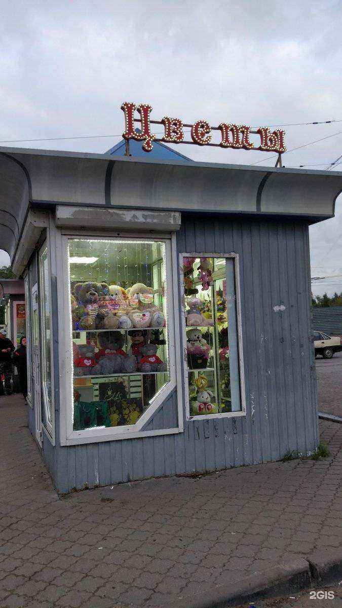 Отзывы на компанию MS в г. Рязань c фото