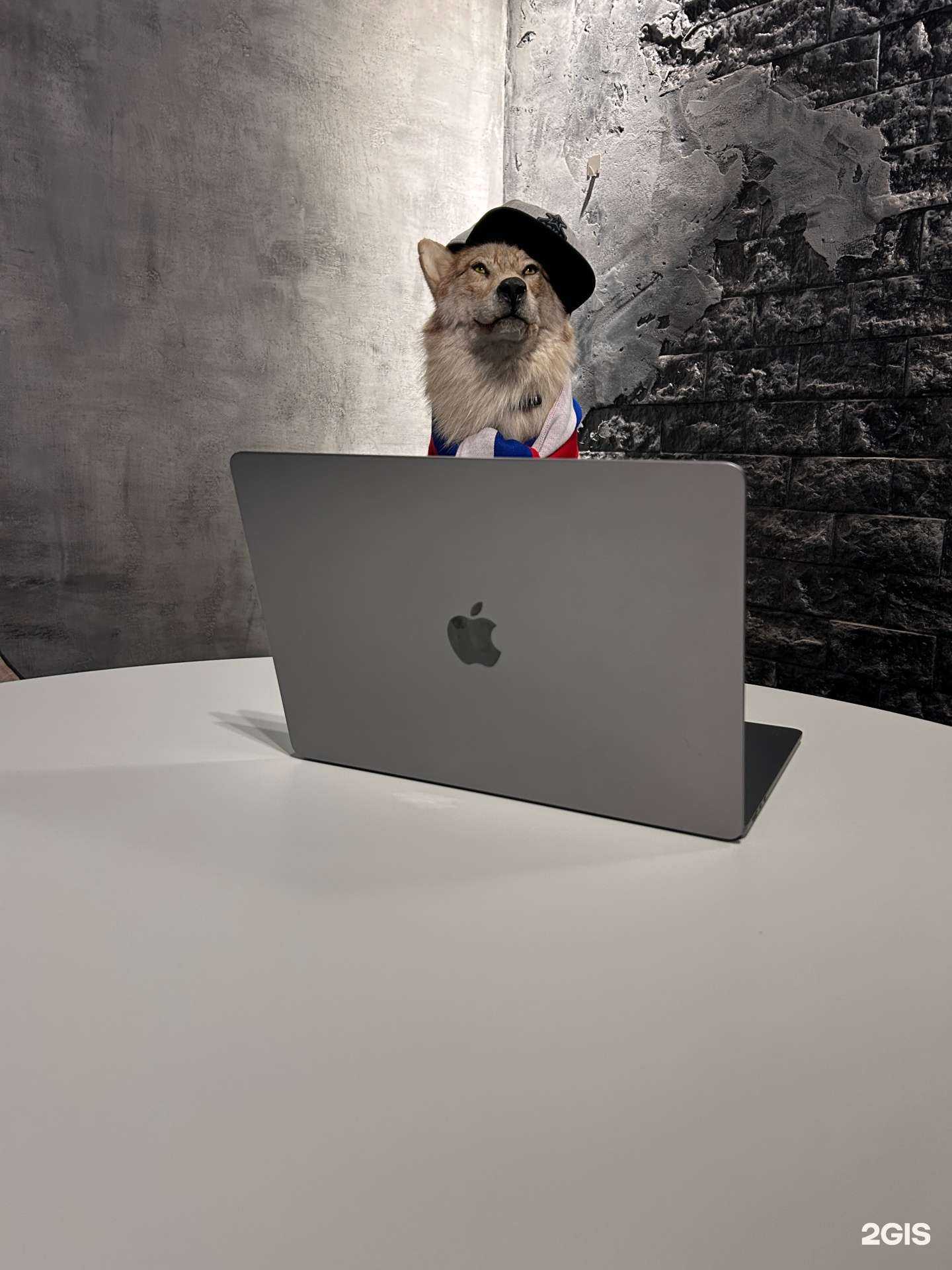 Отзывы на компанию Wolf в Перми c фото