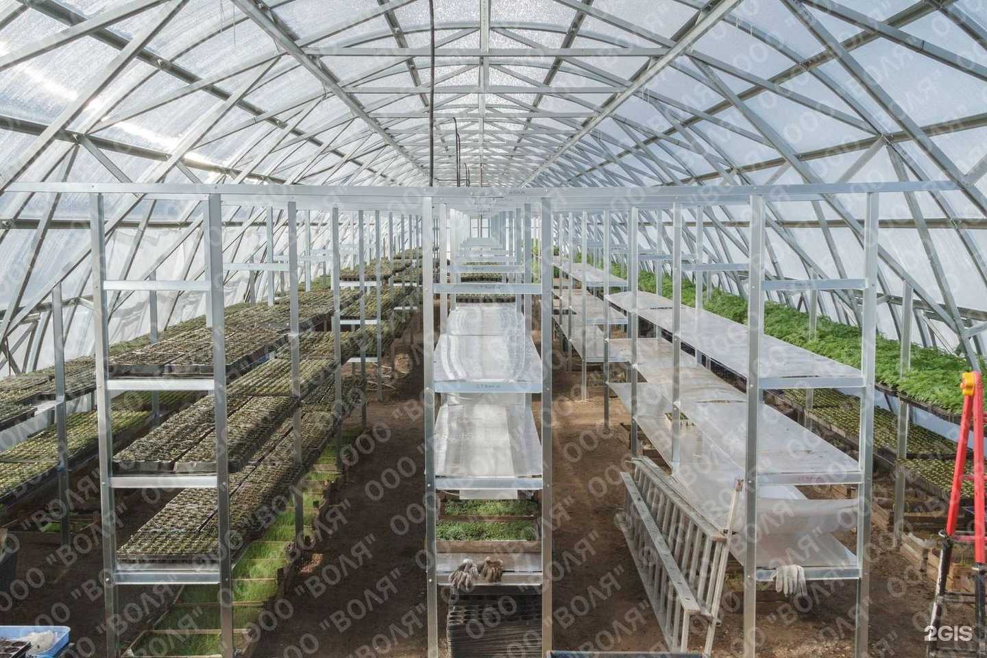 Отзывы на компанию Теплицы Воля в Екатеринбурге c фото