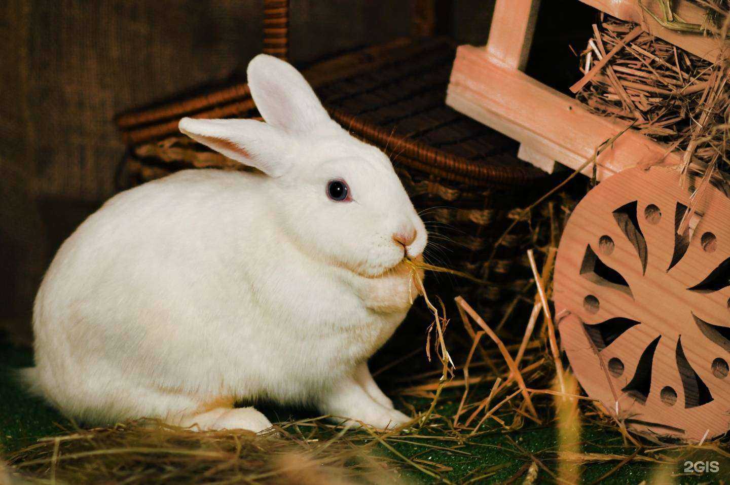 Отзывы на компанию ЭкоСено в Дзержинске c фото