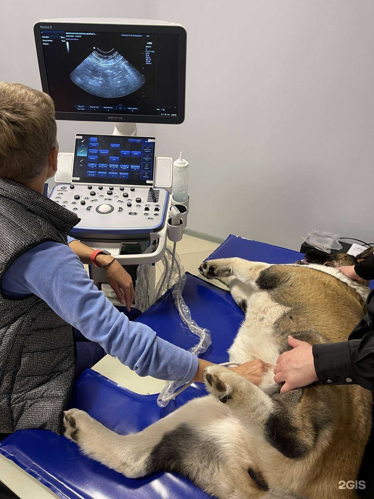 Отзывы на компанию Добрые руки в г. Тула c фото