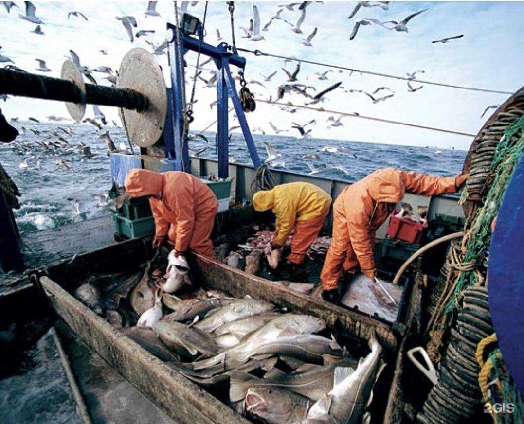 Отзывы на компанию Камчатский морской энергетический техникум в Петропавловске-Камчатском c фото