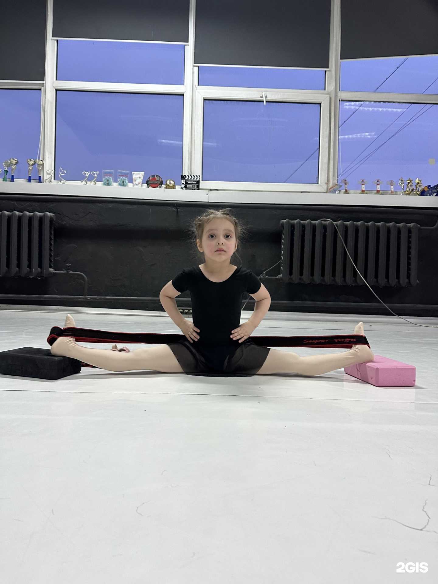 Отзывы на компанию Flora  в Владивостоке c фото