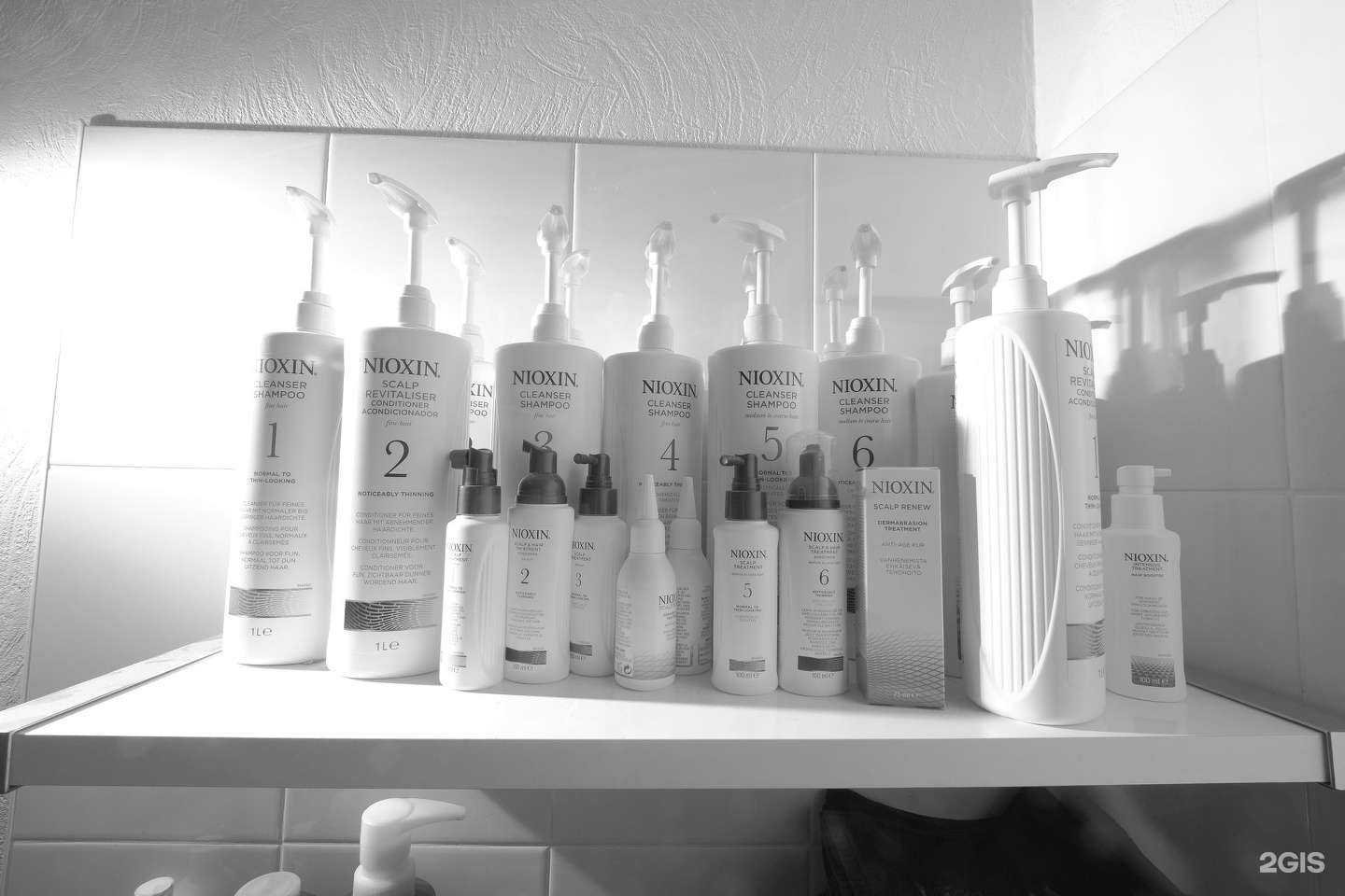 Отзывы на компанию Дикобраз в Нижнем Новгороде c фото