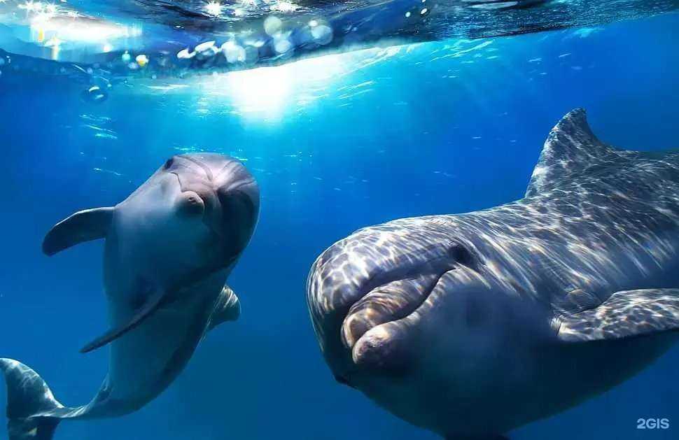 Отзывы на компанию Aqua в Рязани c фото