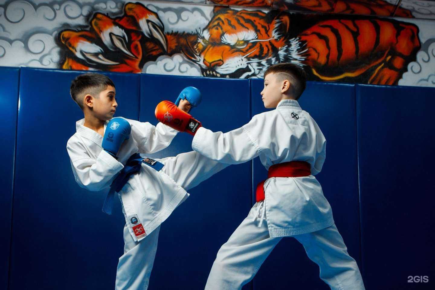 Отзывы на компанию Саппоро в Новокузнецке c фото