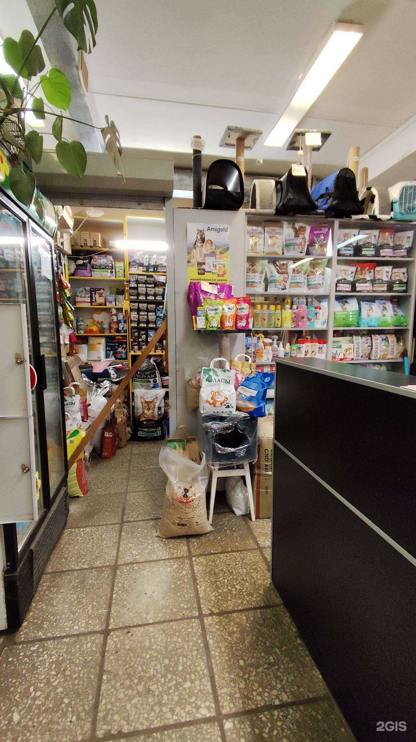 Отзывы на компанию Магазин зоотоваров в Архангельске c фото