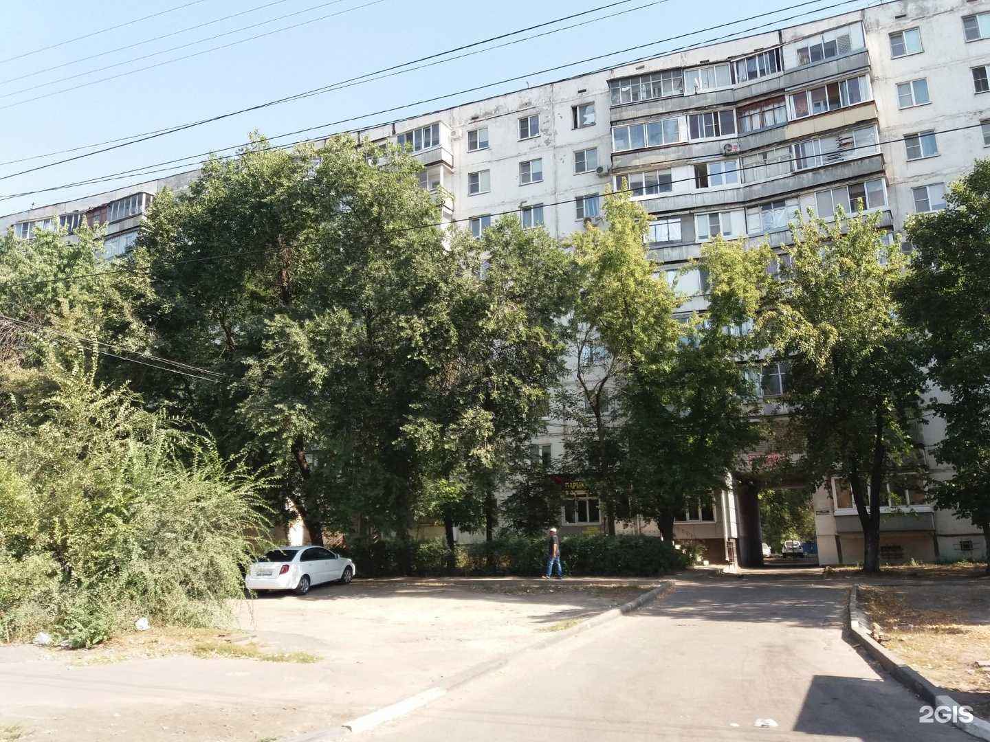 Отзывы на компанию Зоомир в Воронеже c фото - фотография 2 из 2