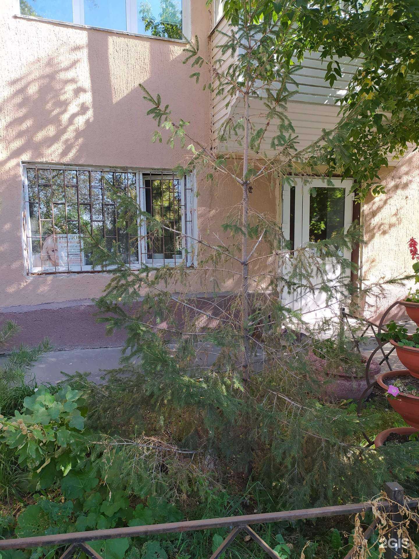 Отзывы на компанию Налогинформ в Омске c фото