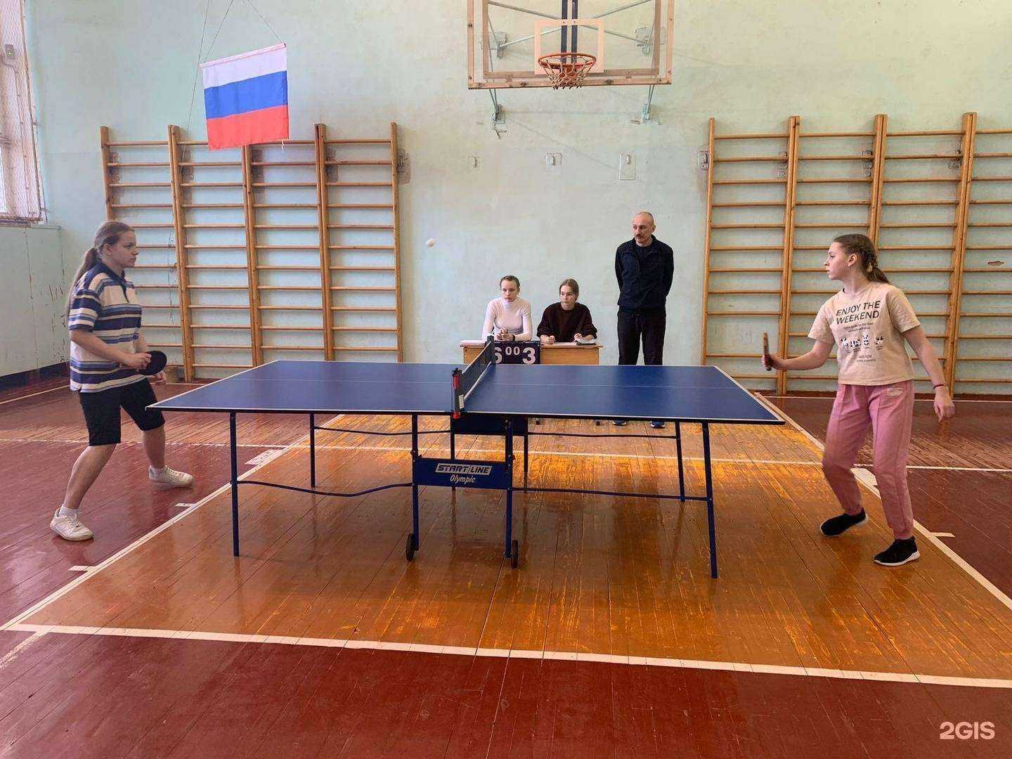 Отзывы на компанию Дельфин в Пскове c фото