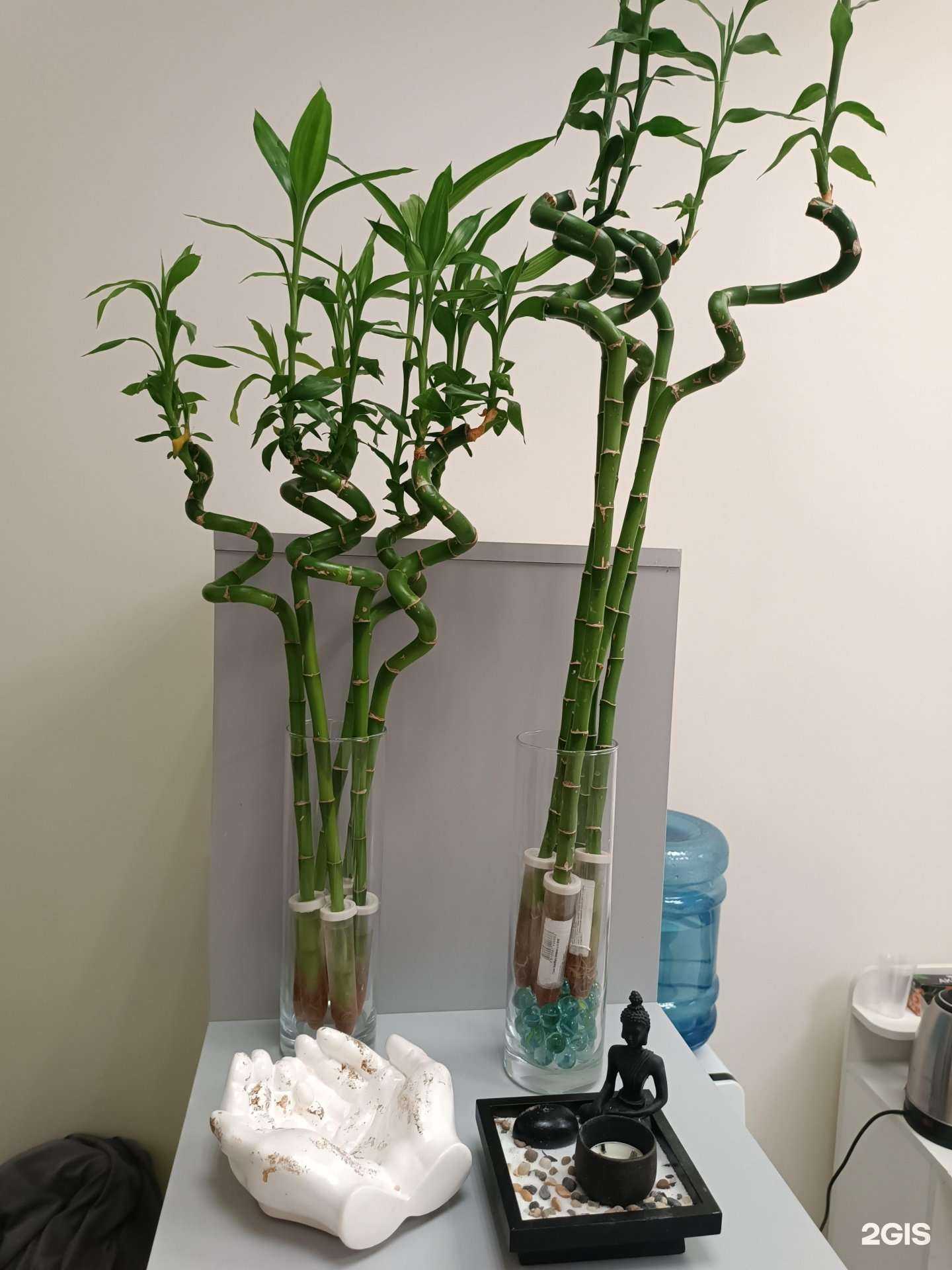 Отзывы на компанию На Ленинской в Королёве c фото