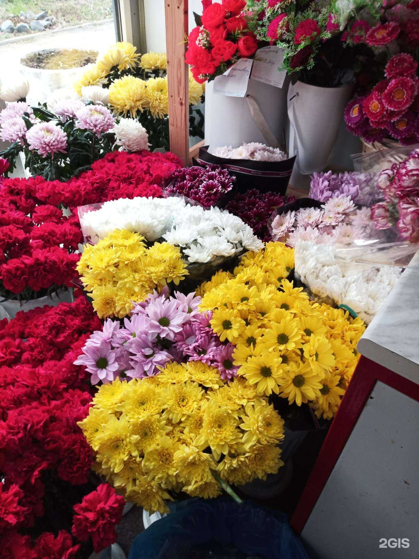 Отзывы на компанию М-флора в Подольске c фото