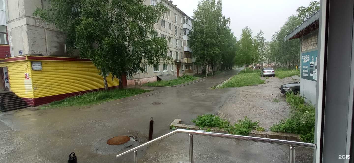 Отзывы на компанию Твой букет в Губахе c фото - фотография 2 из 2