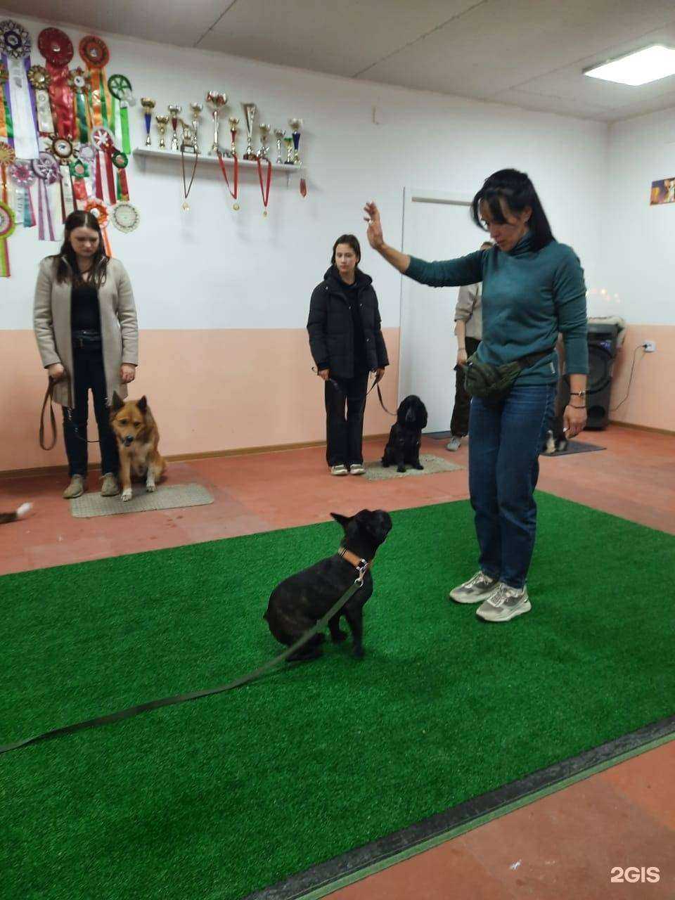 Отзывы на компанию Умка в г. Каменск-Уральский c фото