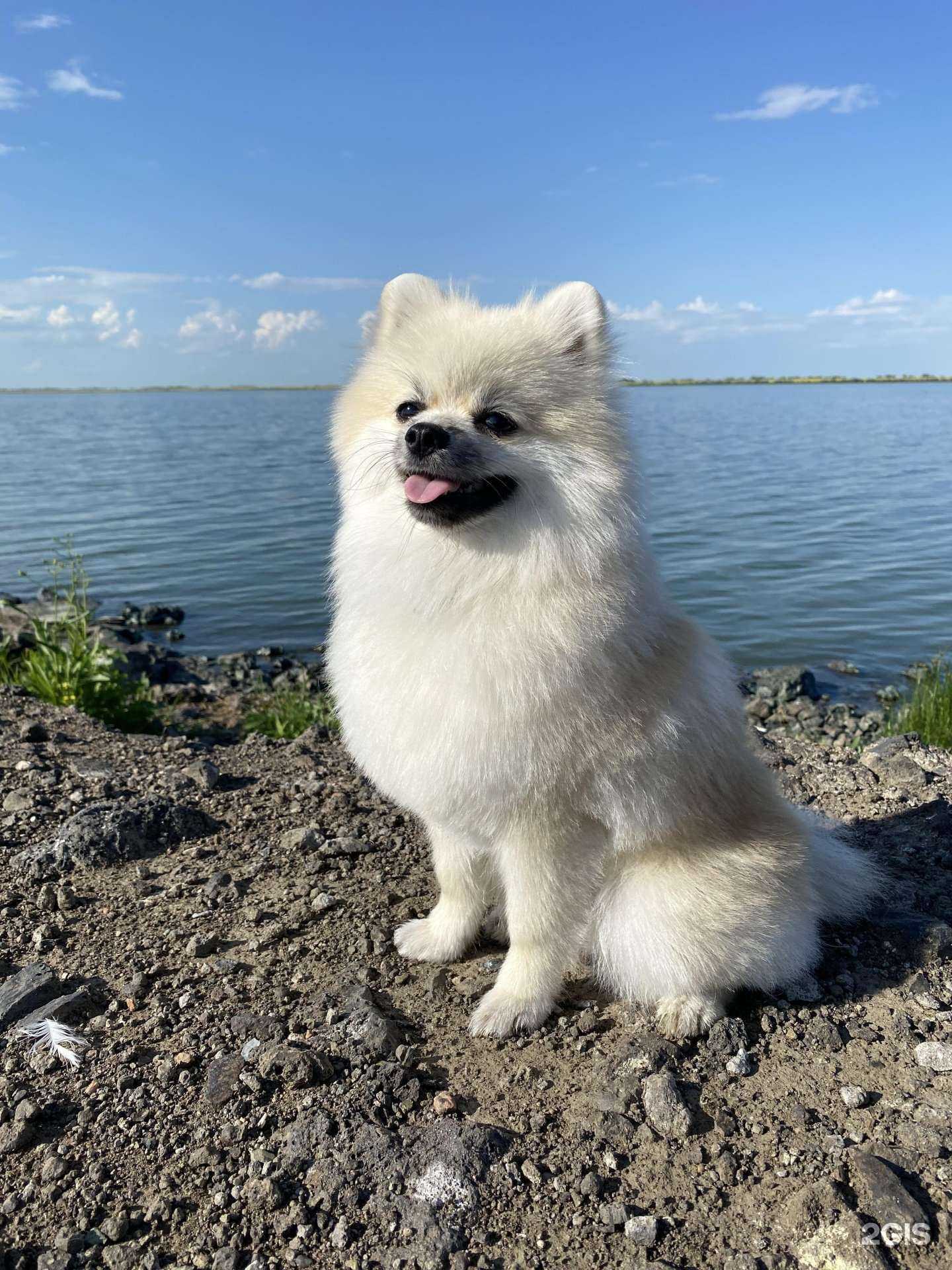 Отзывы на компанию Трейси в Барнауле c фото