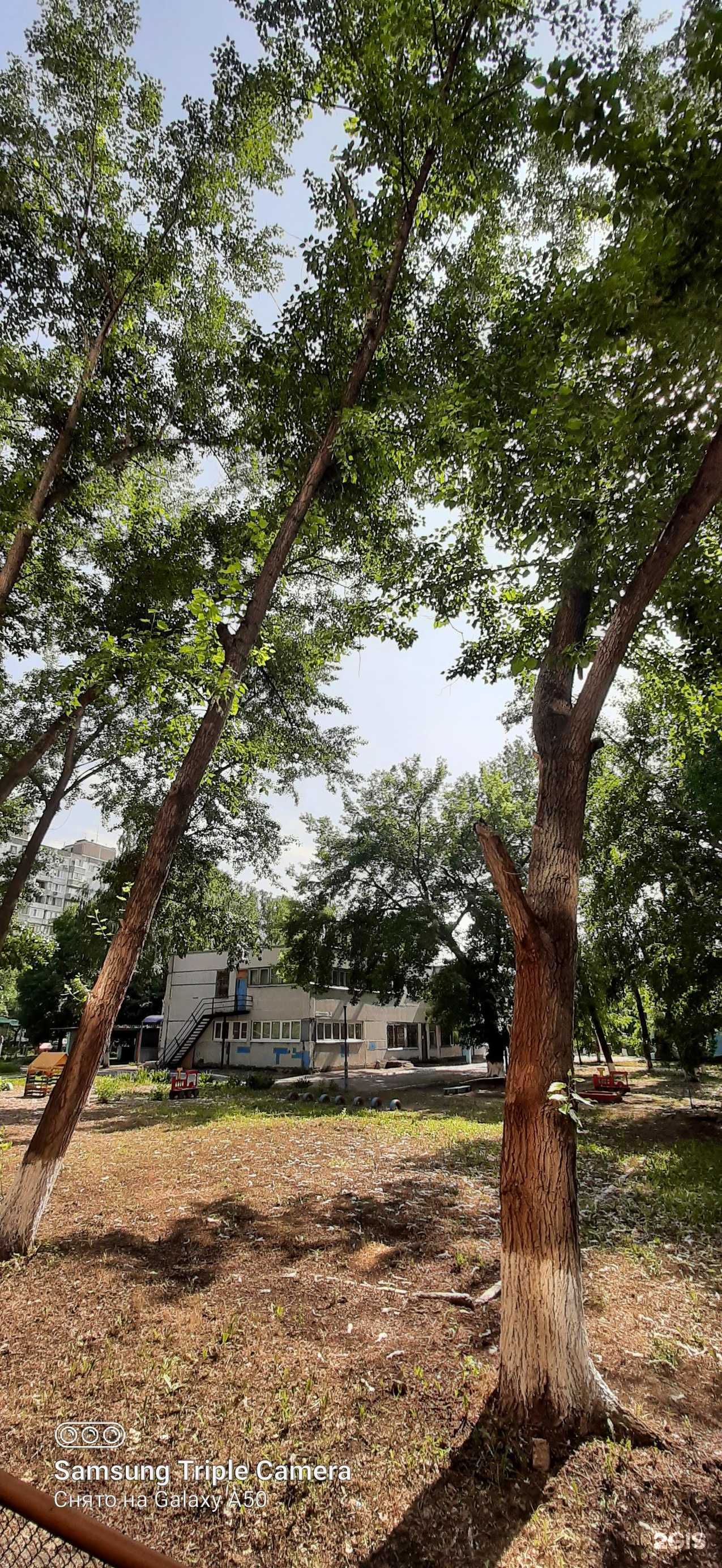 Отзывы на компанию Детский сад общеразвивающего вида №267 в г. Самара c фото