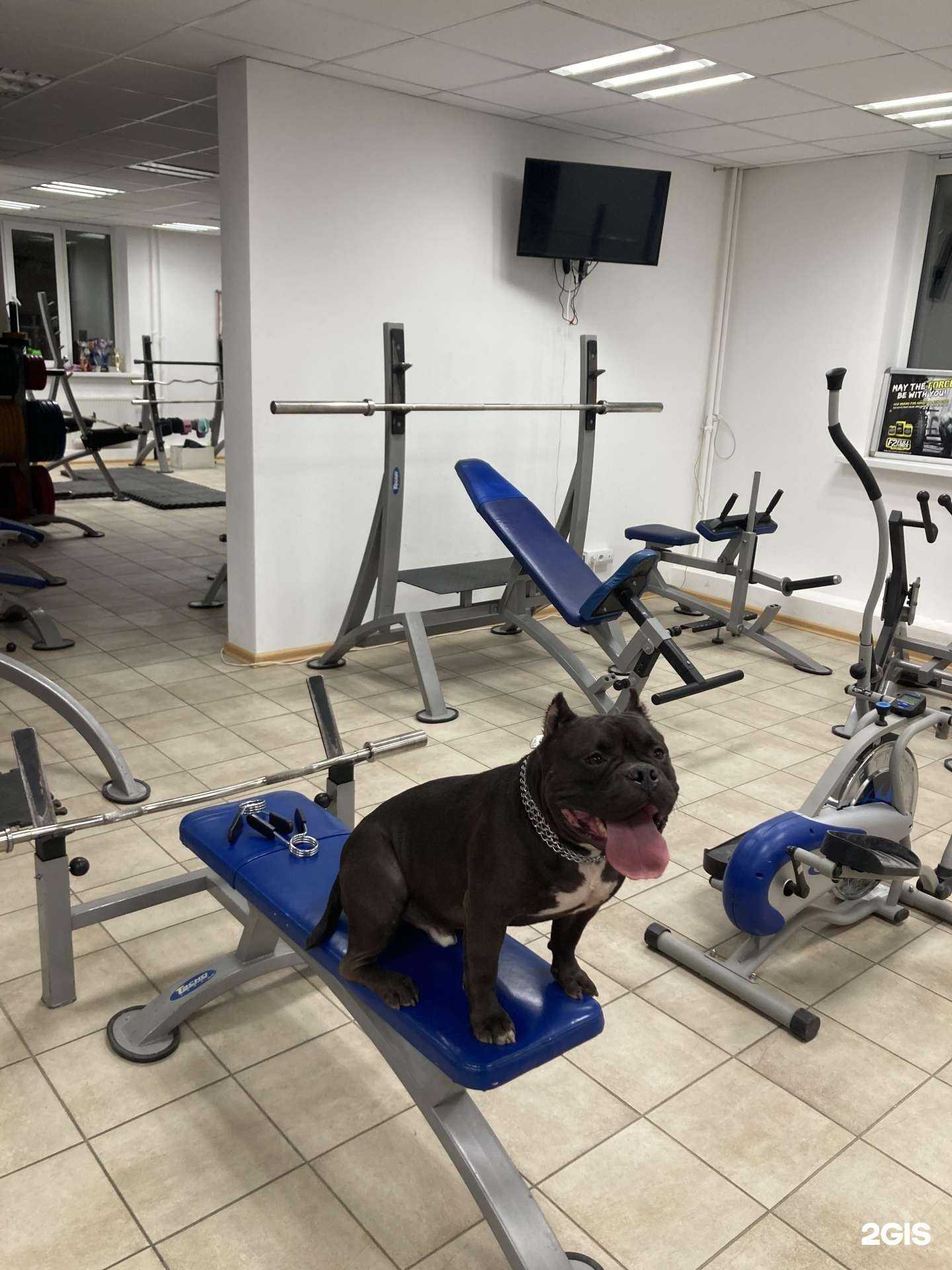 Отзывы на компанию Атлет в Самаре c фото