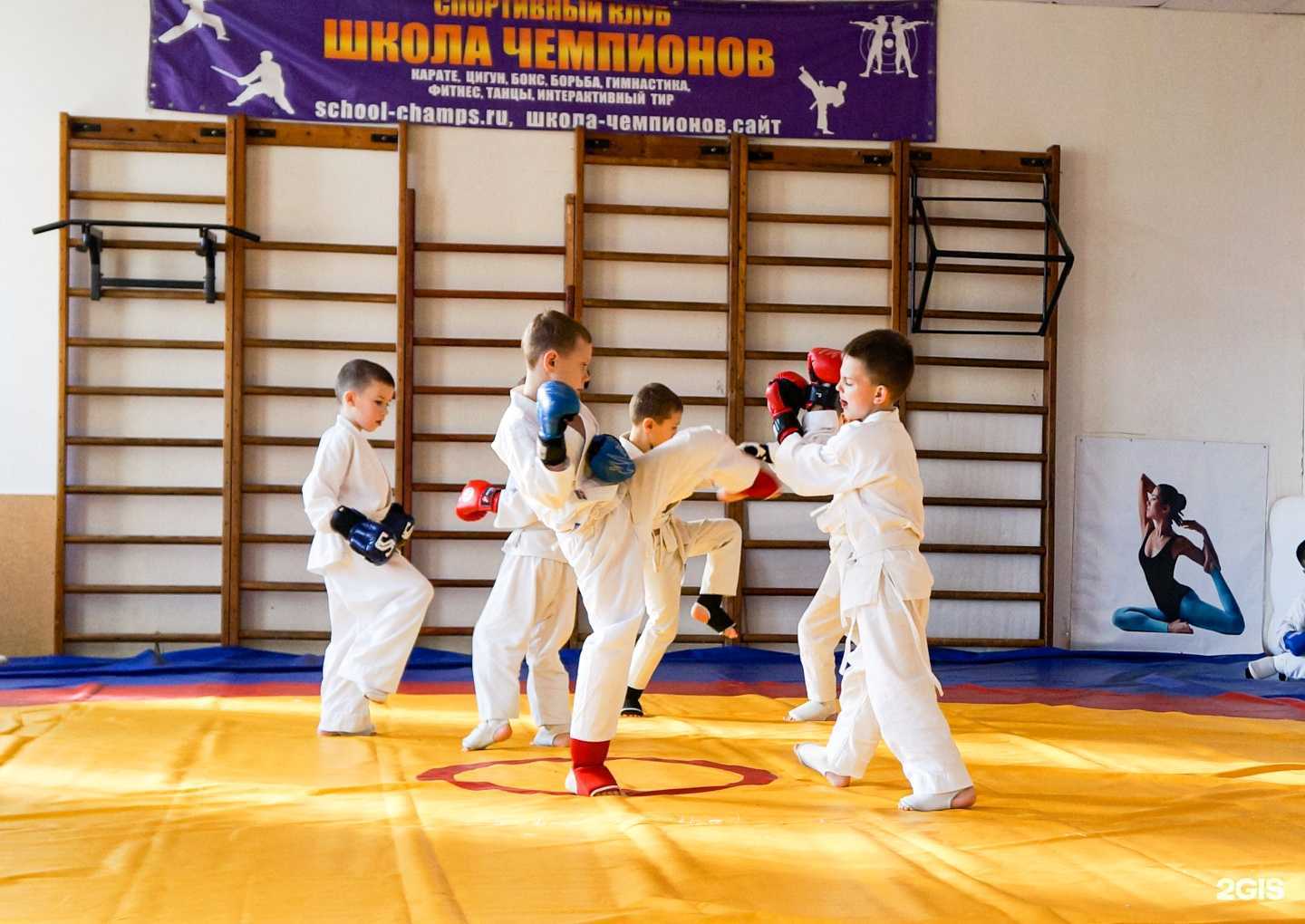 Отзывы на компанию Школа всестилевого каратэ в Новороссийске c фото