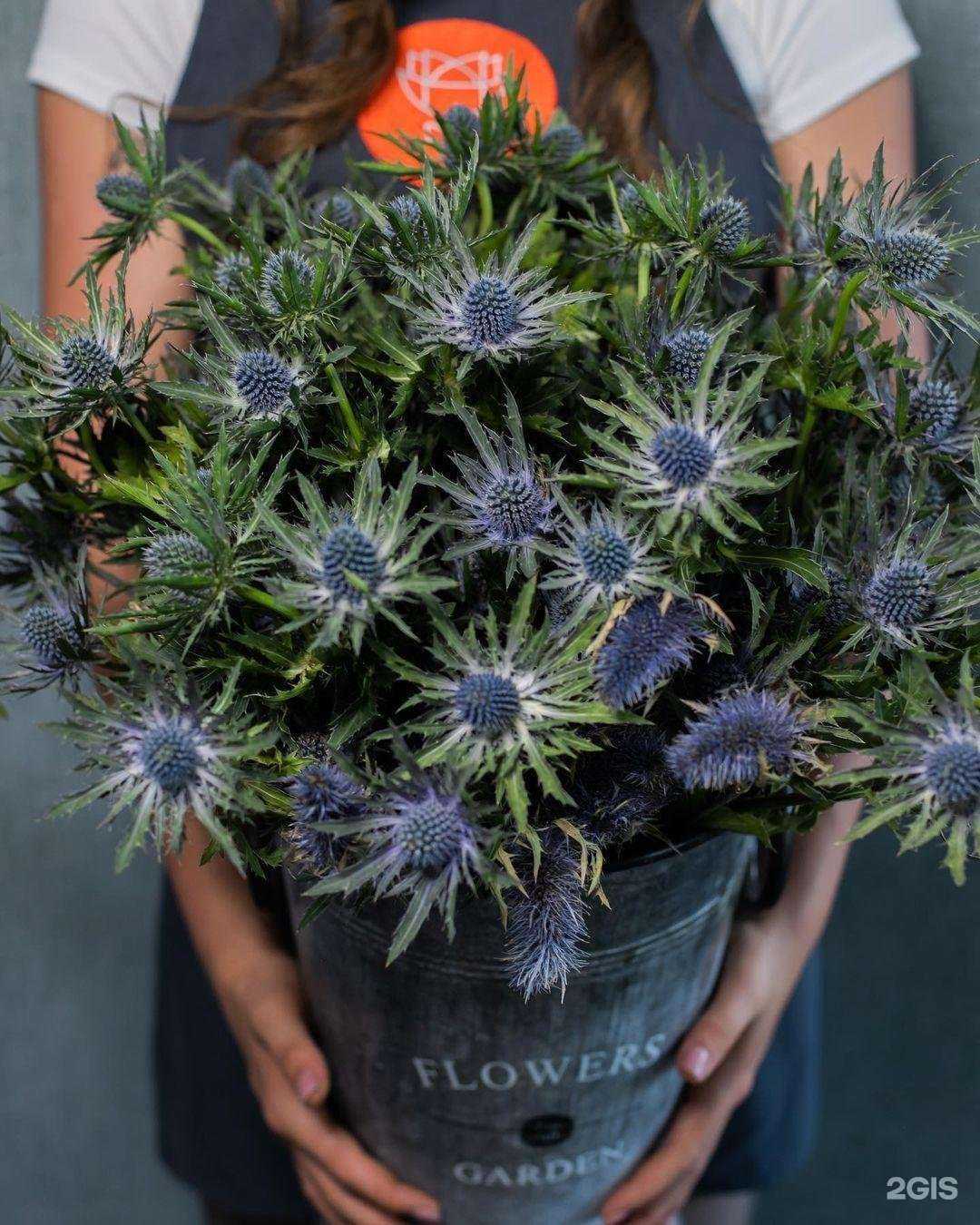 Отзывы на компанию Городская база цветов в г. Люберцы c фото