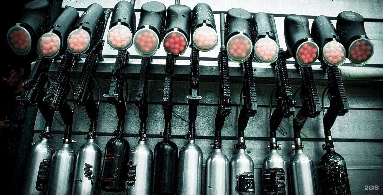 Отзывы на компанию Бешеный Хомяк в Омске c фото