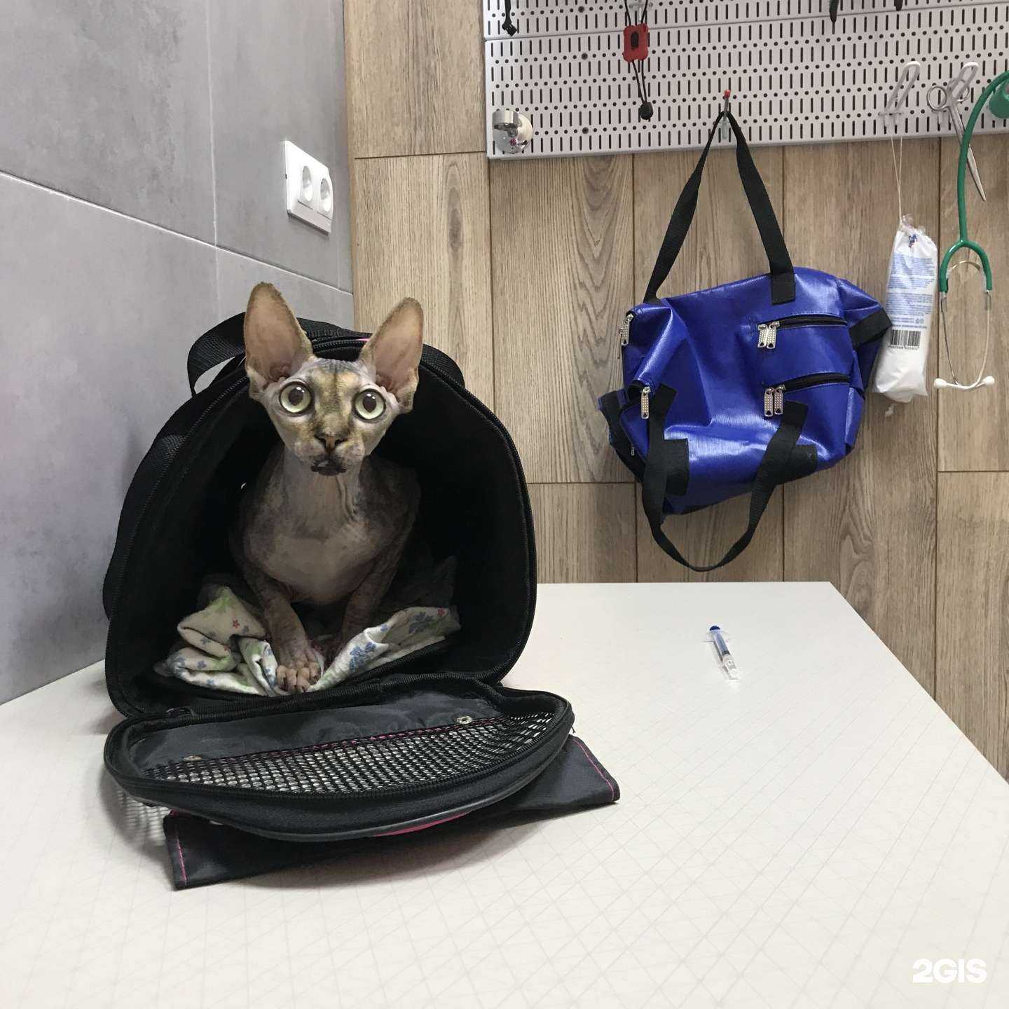 Отзывы на компанию Smile в г. Анапа c фото