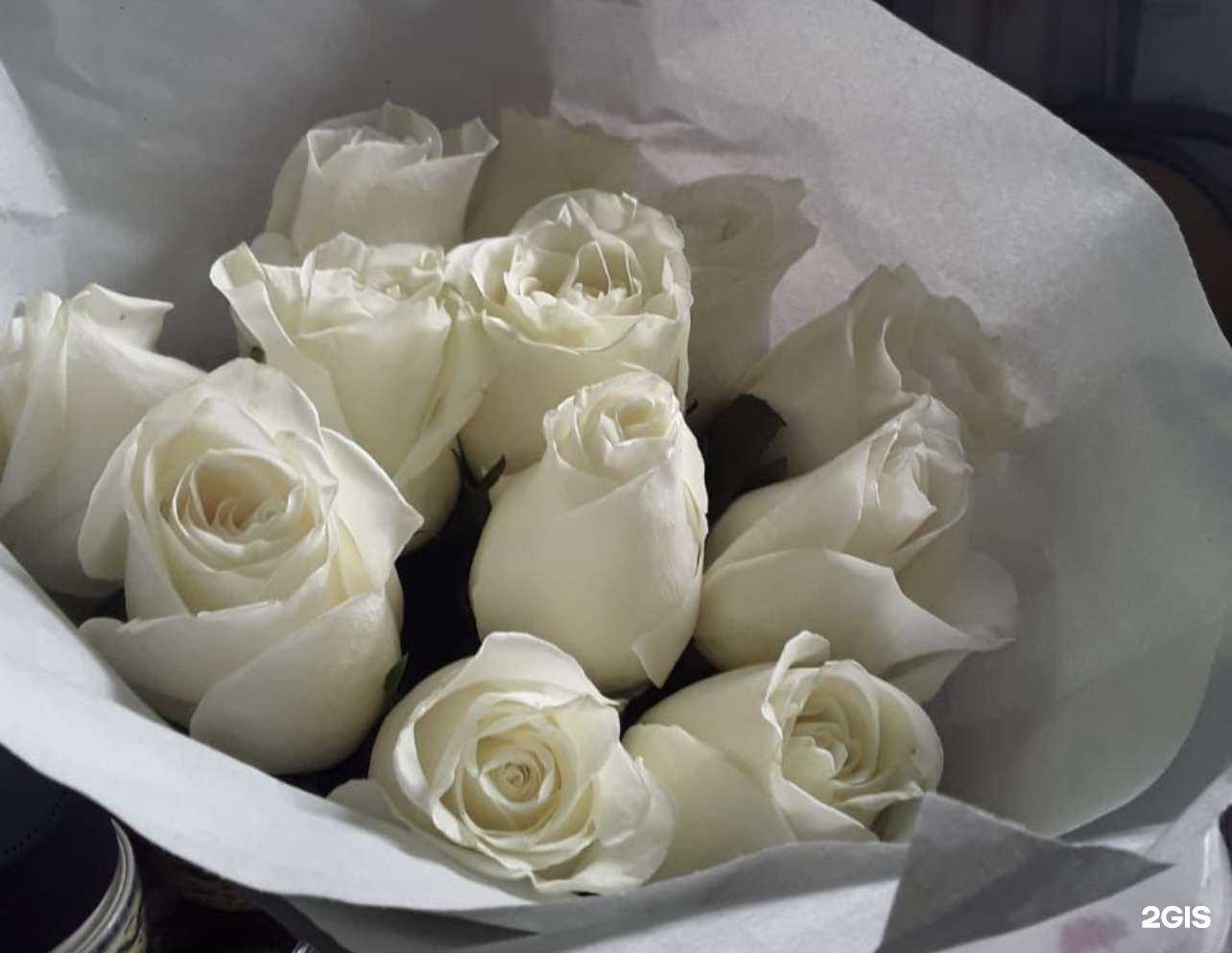 Отзывы на компанию Роза-мимоза в Чебаркуле c фото