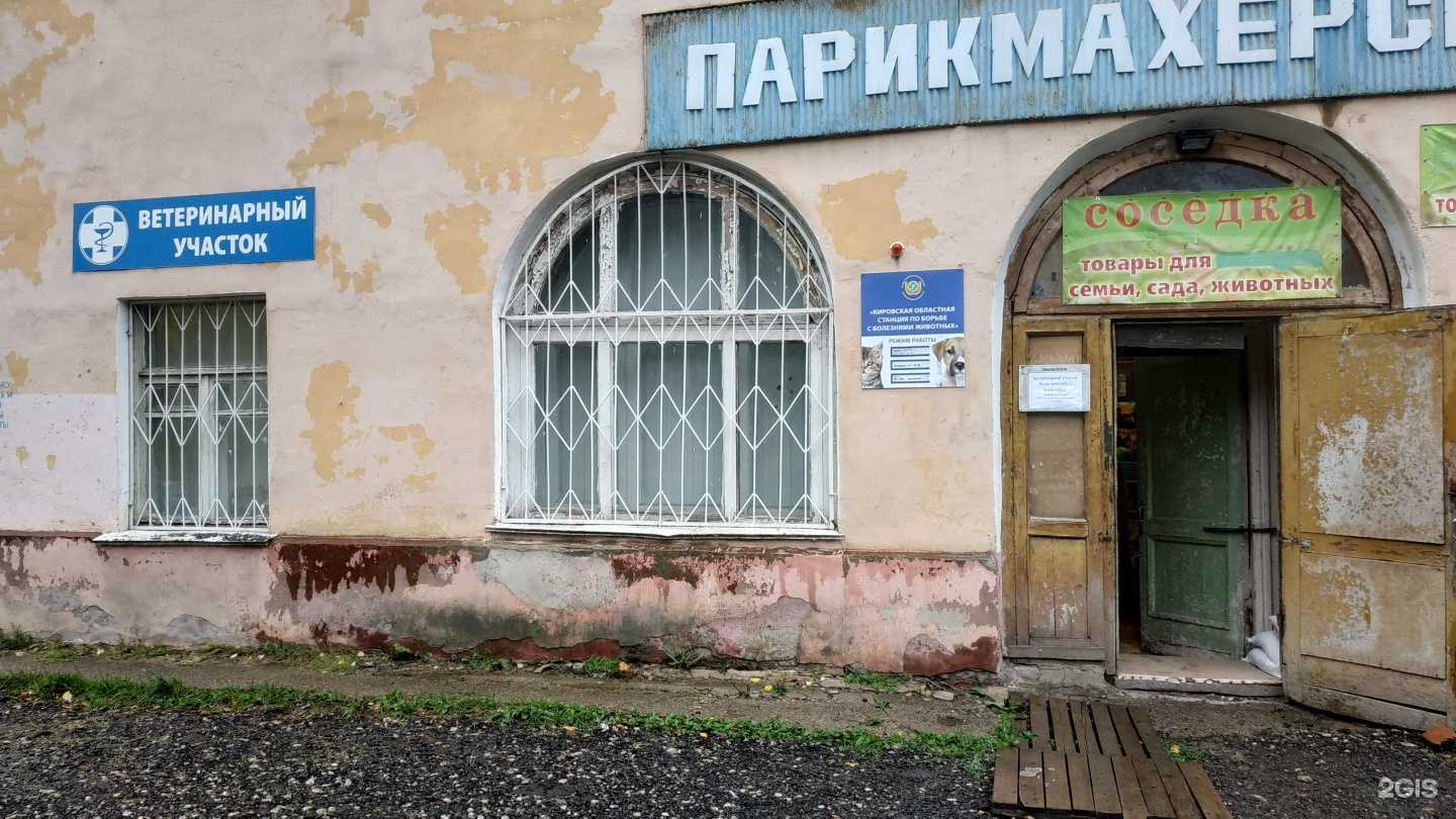 Отзывы на компанию Ветеринарная клиника в г. Киров c фото