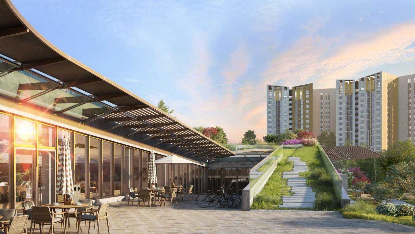 Отзывы на компанию Стрижи в Новосибирске c фото