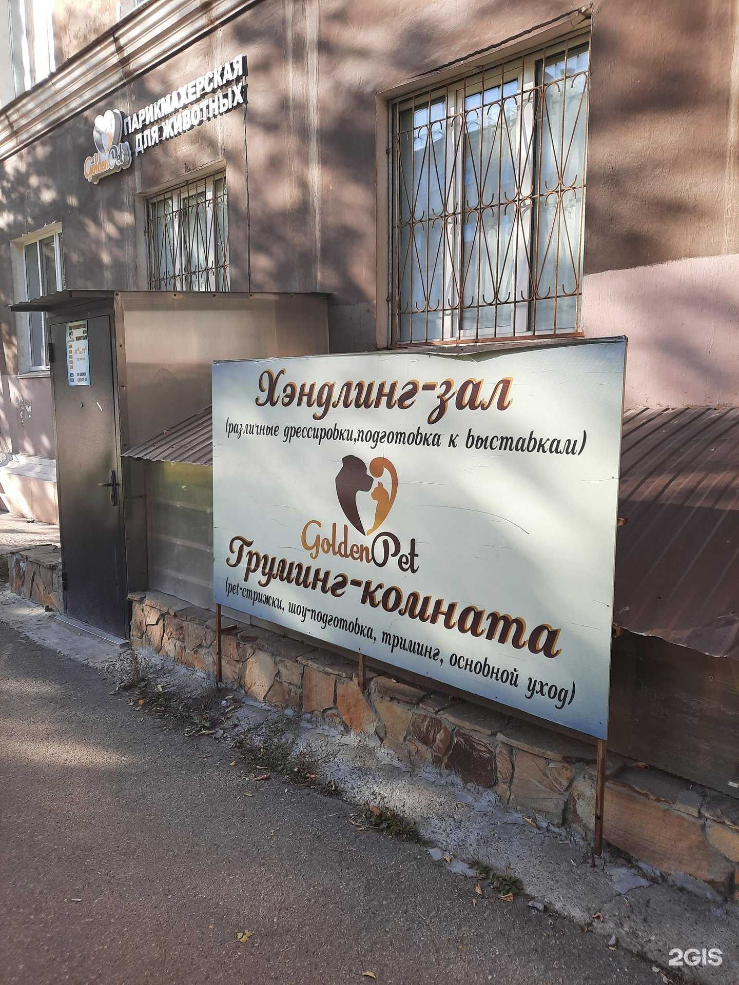 Отзывы на компанию Goldenpet в Перми c фото