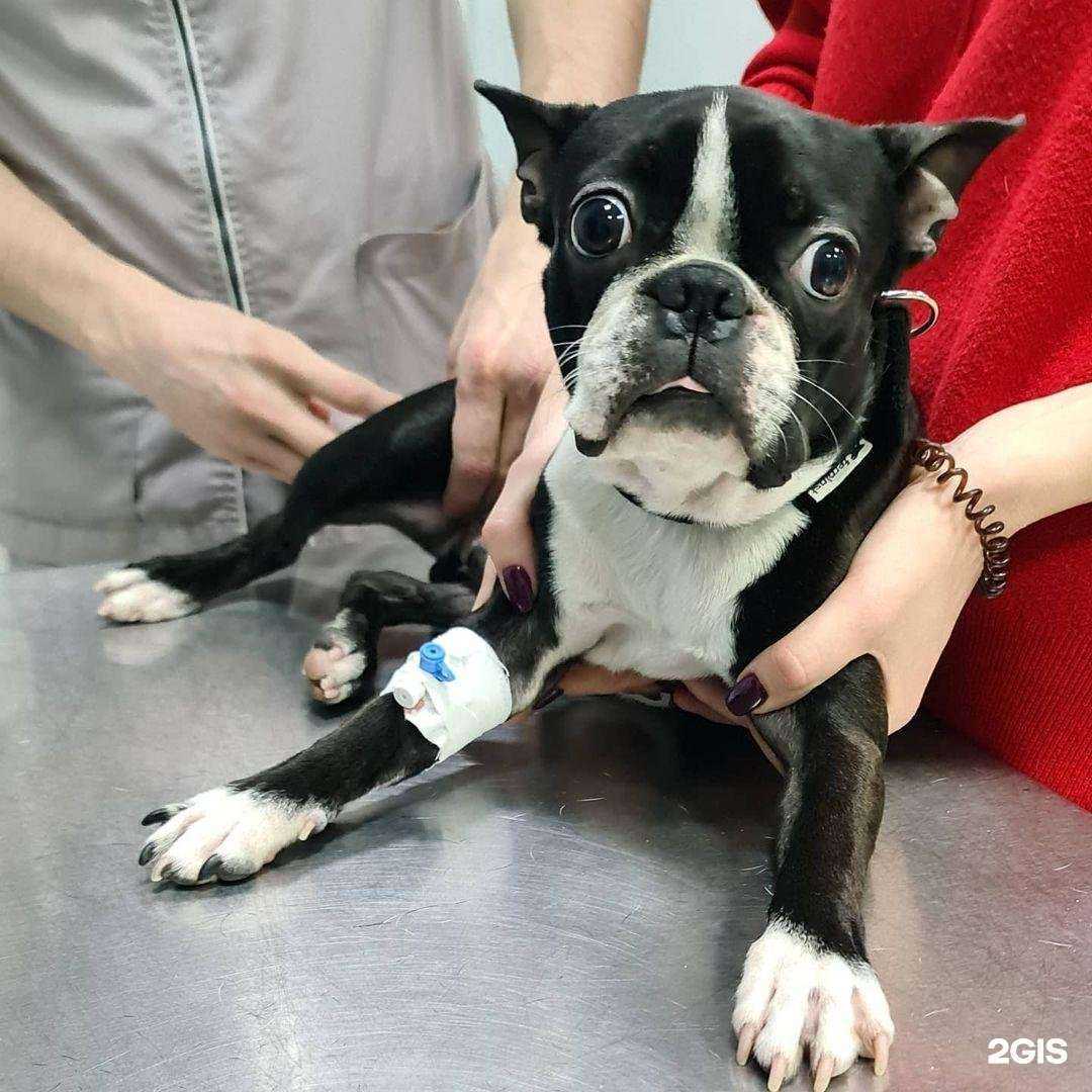 Отзывы на компанию Мвет в Махачкале c фото