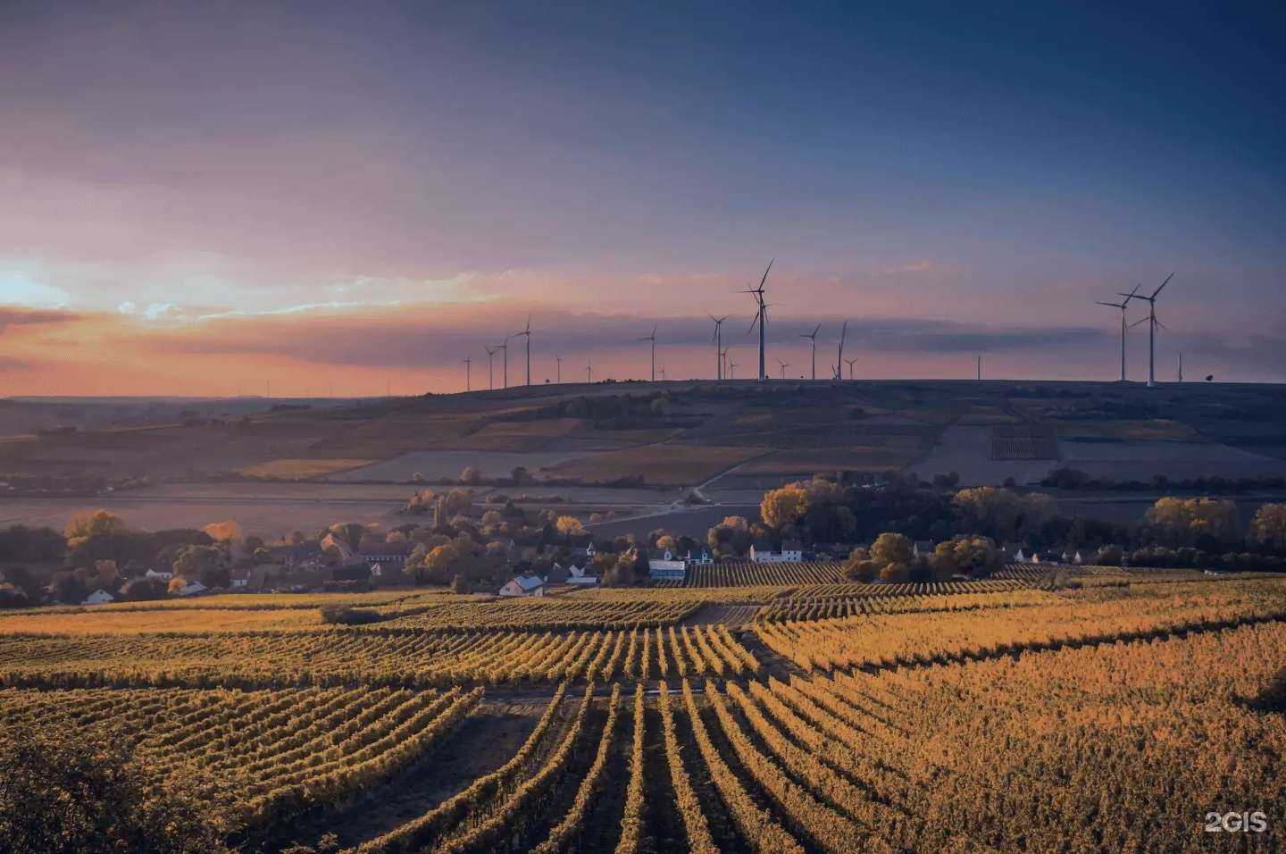 Отзывы на компанию СТК-Агро в г. Волгоград c фото
