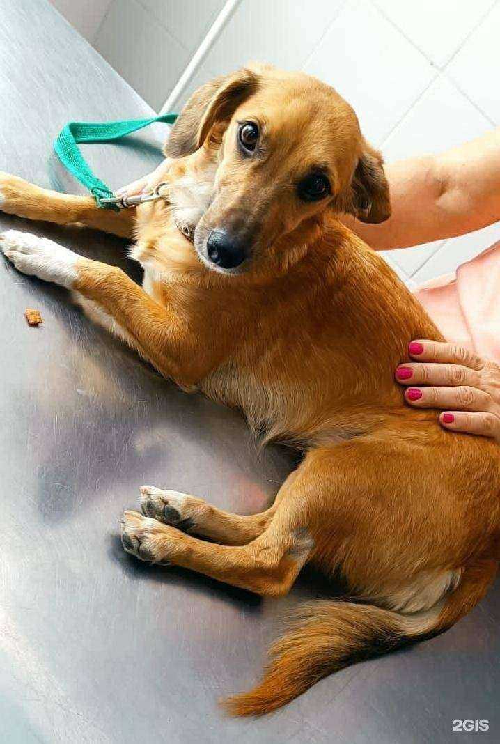 Отзывы на компанию Феникс в Ростове-на-Дону c фото