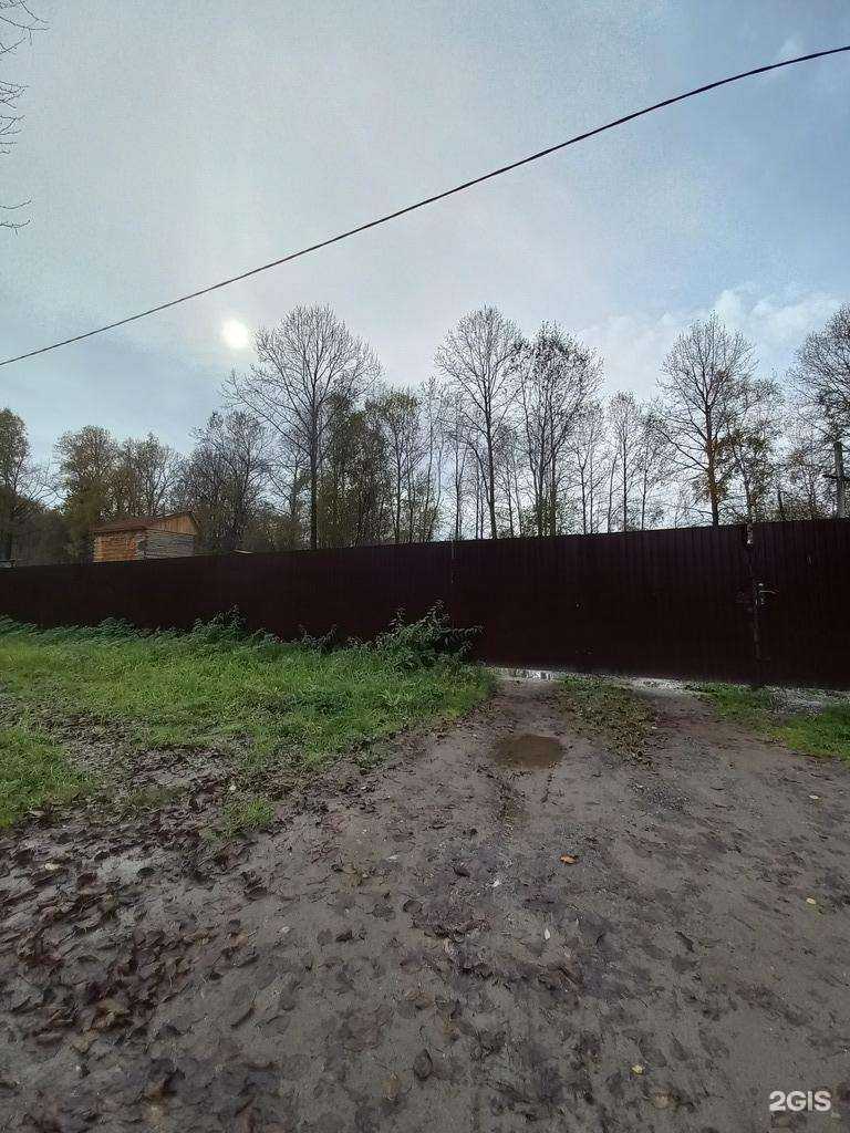 Отзывы на компанию Центр проката сап-бордов в Байкальске c фото