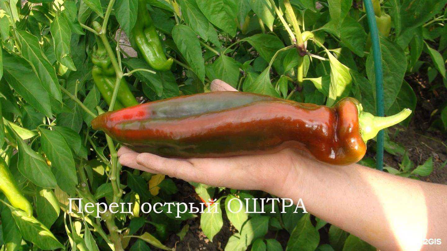 Отзывы на компанию Август и Партнеры в Самаре c фото