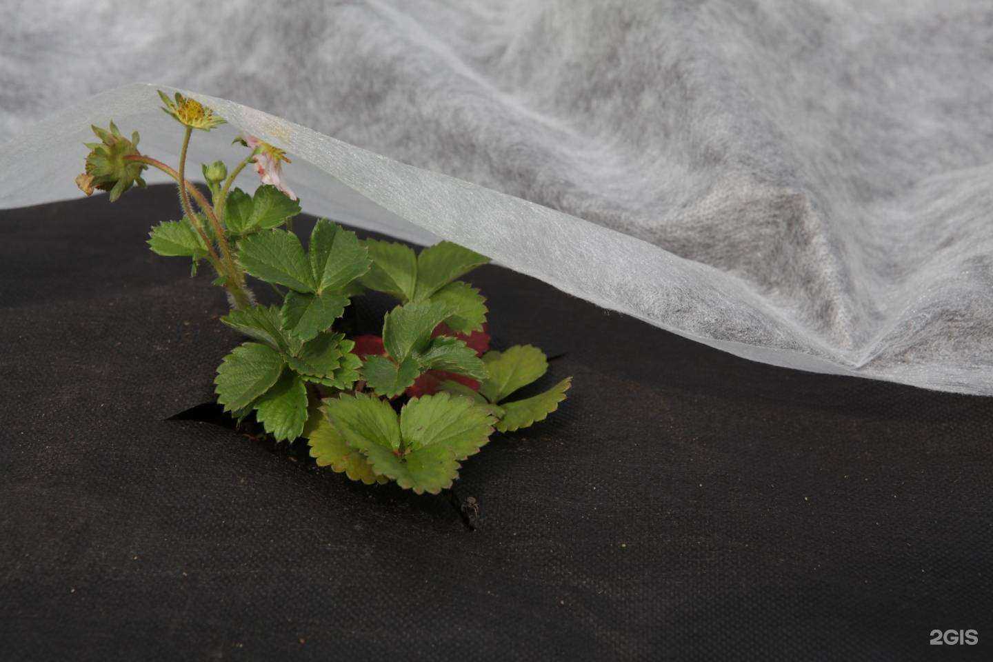 Отзывы на компанию Гекса-Урал в Сургуте c фото