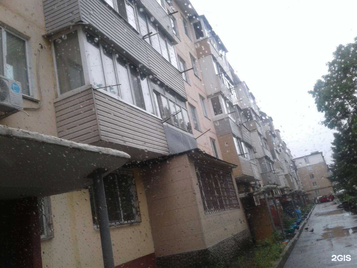 Отзывы на компанию Azeriflores в Владивостоке c фото - фотография 2 из 2