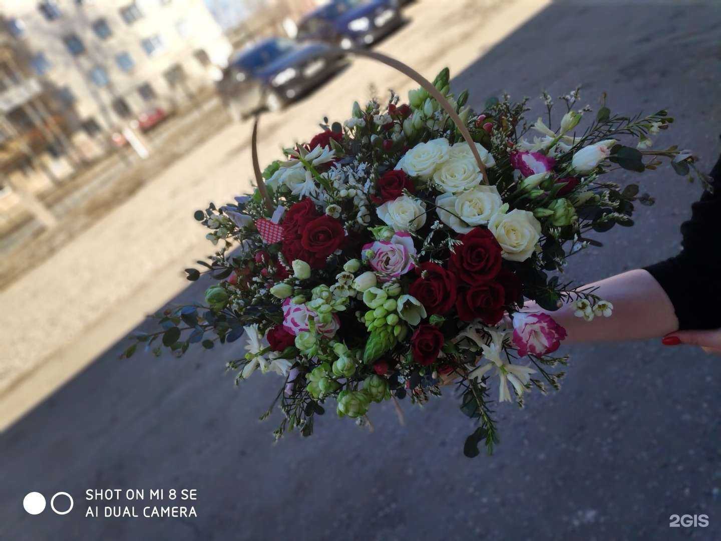 Отзывы на компанию Бюро красивых решений в г. Кострома c фото