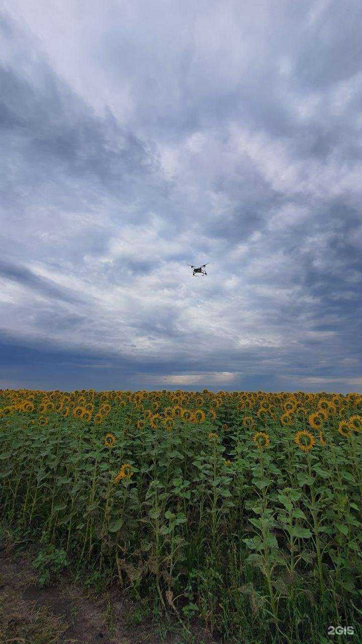Отзывы на компанию Агросфера в Воронеже c фото