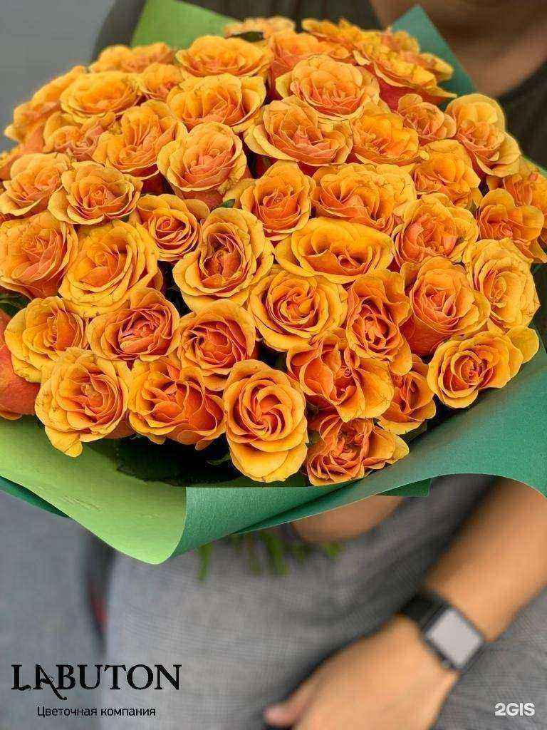 Отзывы на компанию Labuton в Красноярске c фото