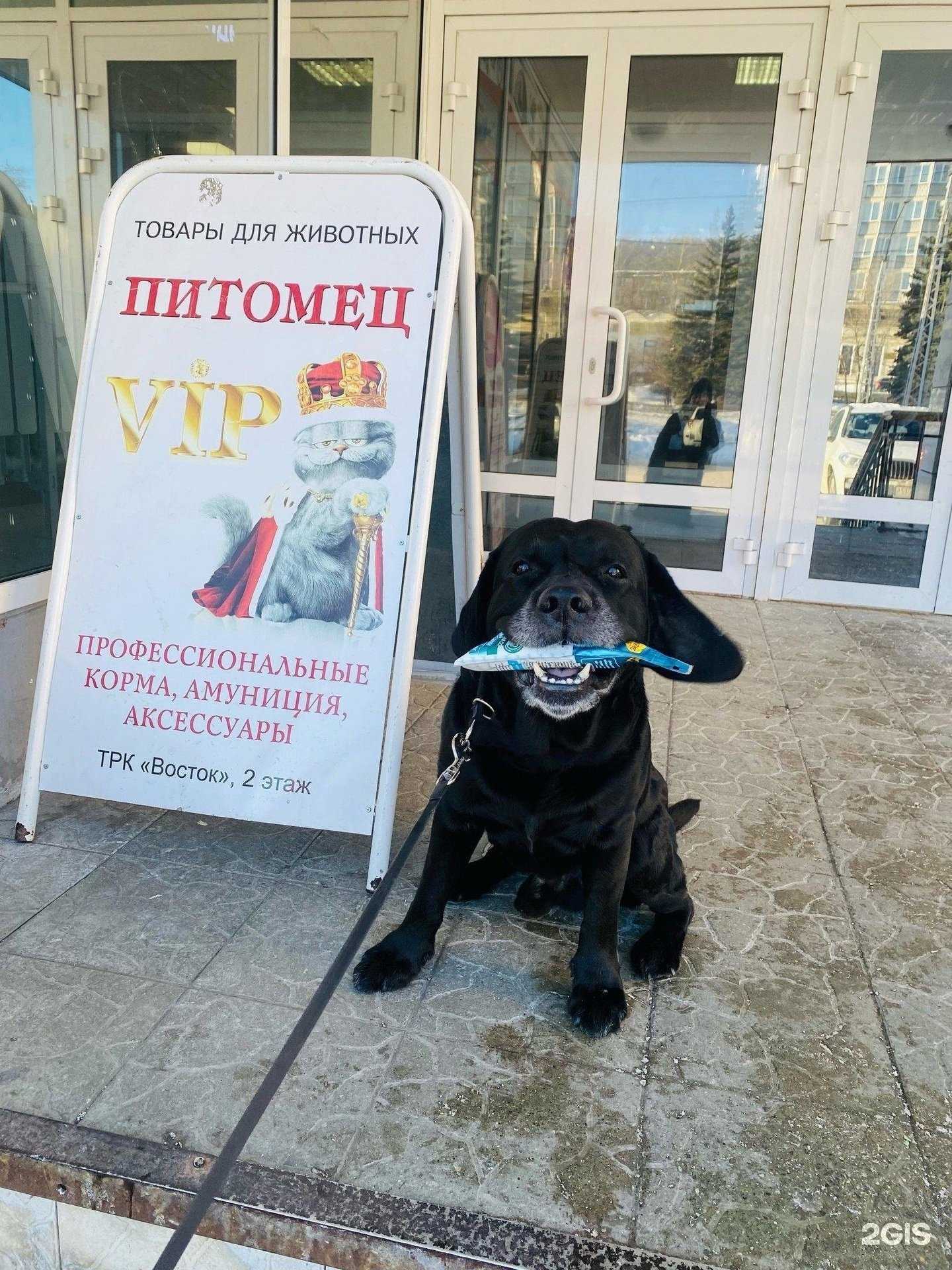 Отзывы на компанию Питомец VIP в г. Миасс c фото