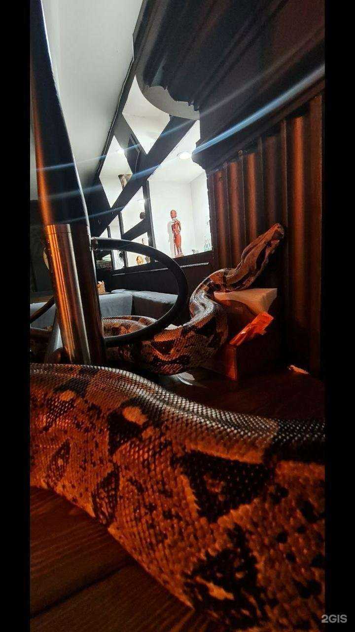 Отзывы на компанию Black Snake в Уфе c фото