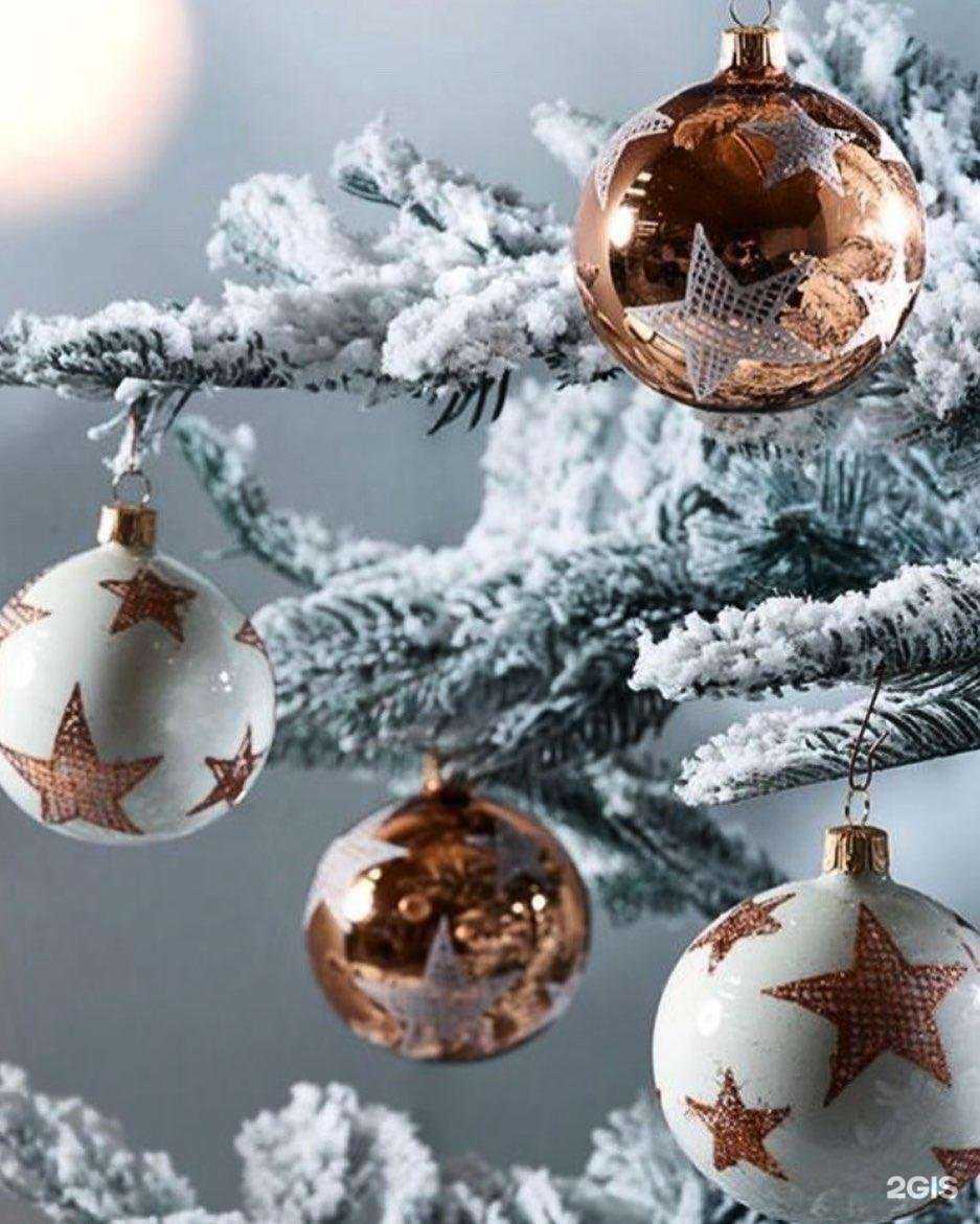 Отзывы на компанию Primavera в Новосибирске c фото