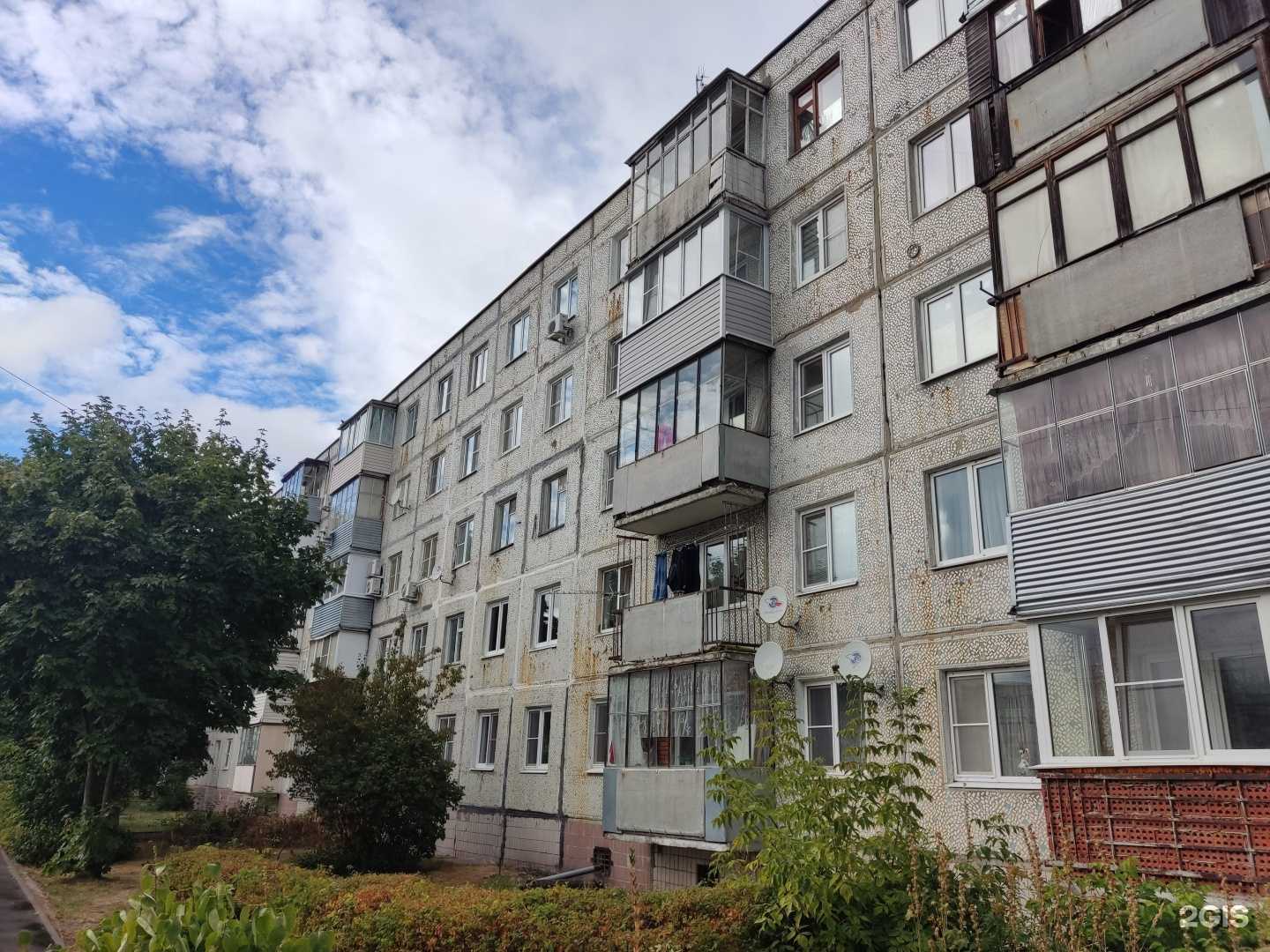 Отзывы на компанию Масяня в Электрогорске c фото - фотография 2 из 2