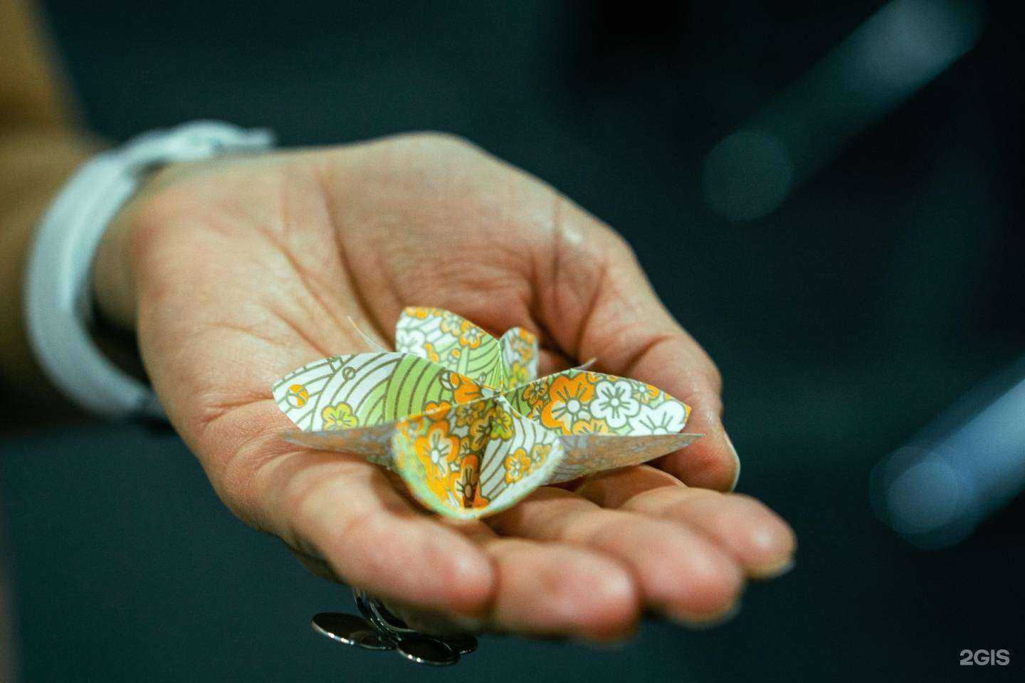 Отзывы на компанию Научно-образовательный японский центр в г. Красноярск c фото