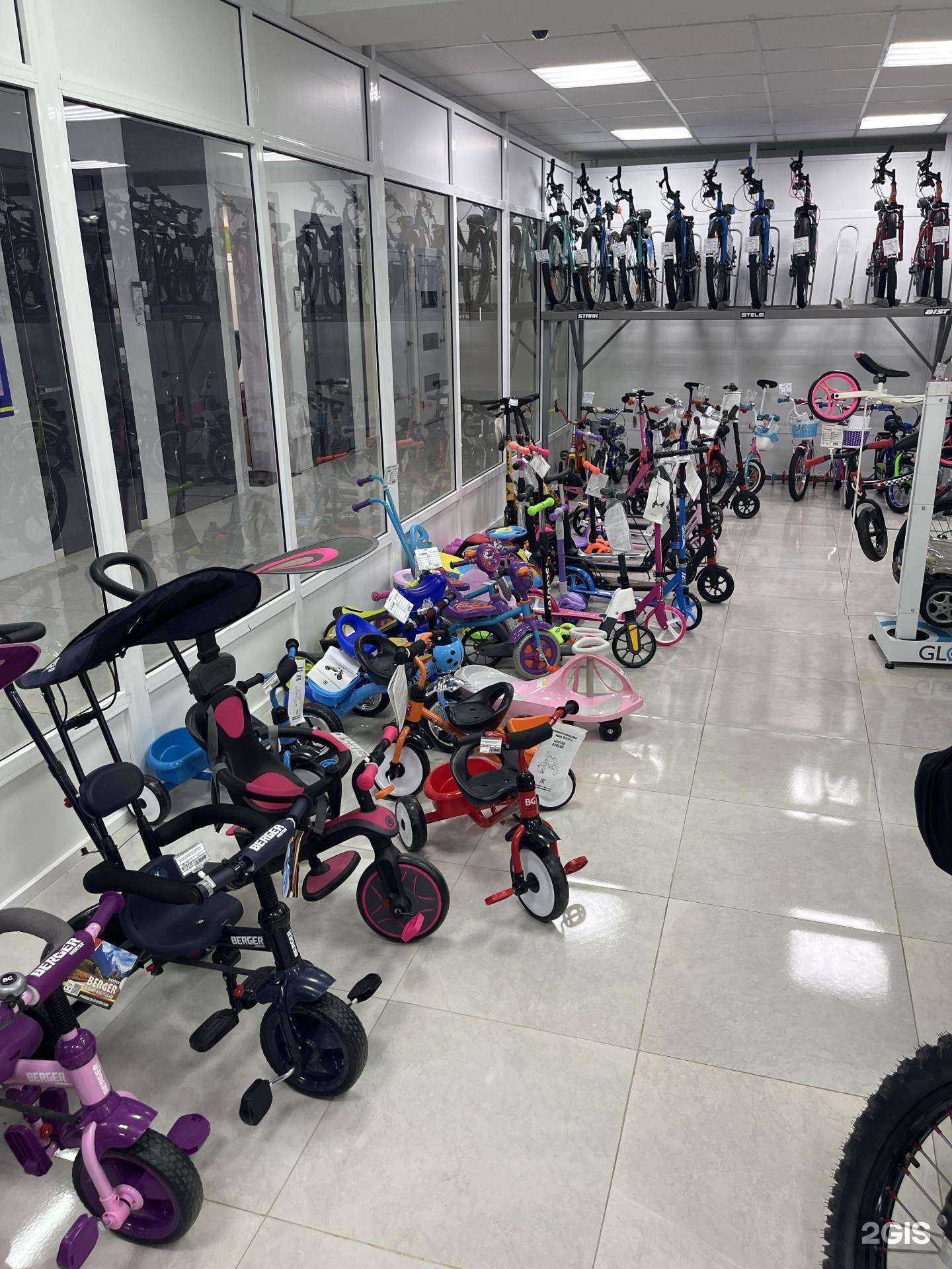 Отзывы на компанию Велорай в Пензе c фото