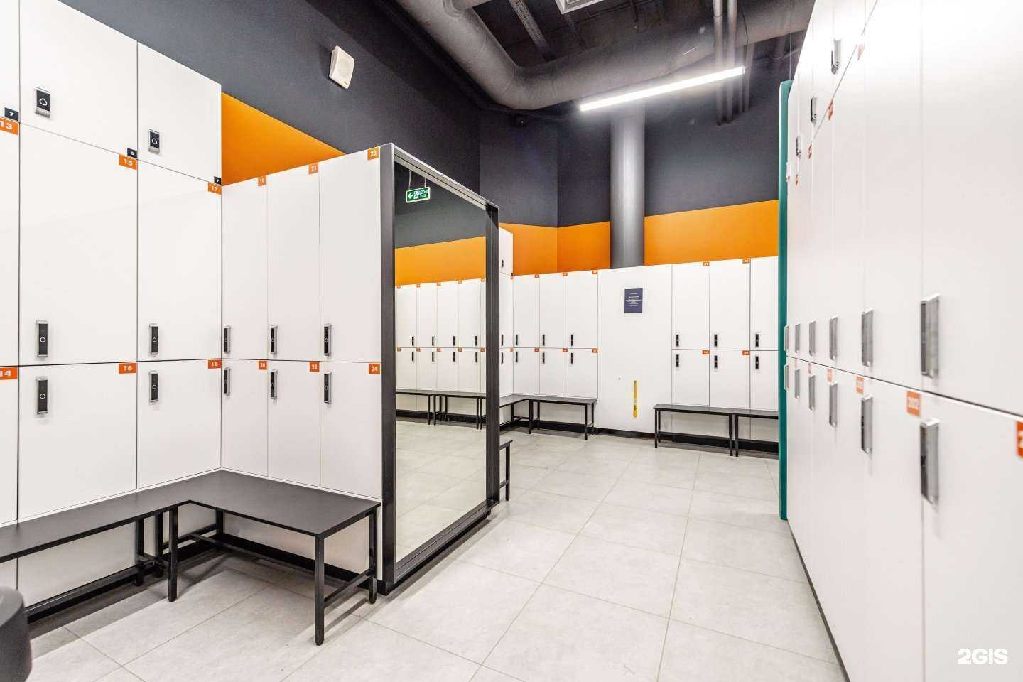 Отзывы на компанию DDX Fitness в Химках c фото