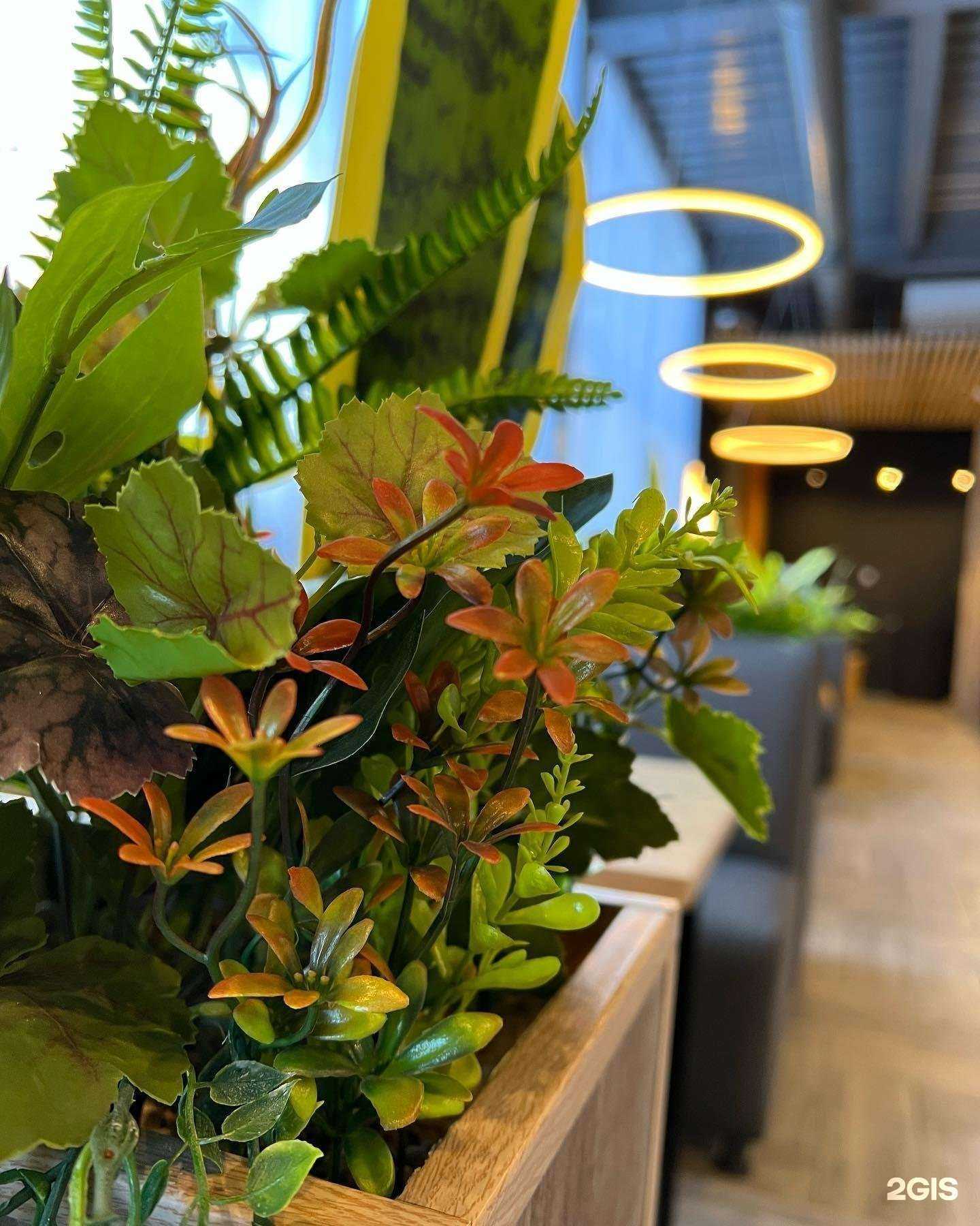 Отзывы на компанию Pronto в г. Киселёвск c фото