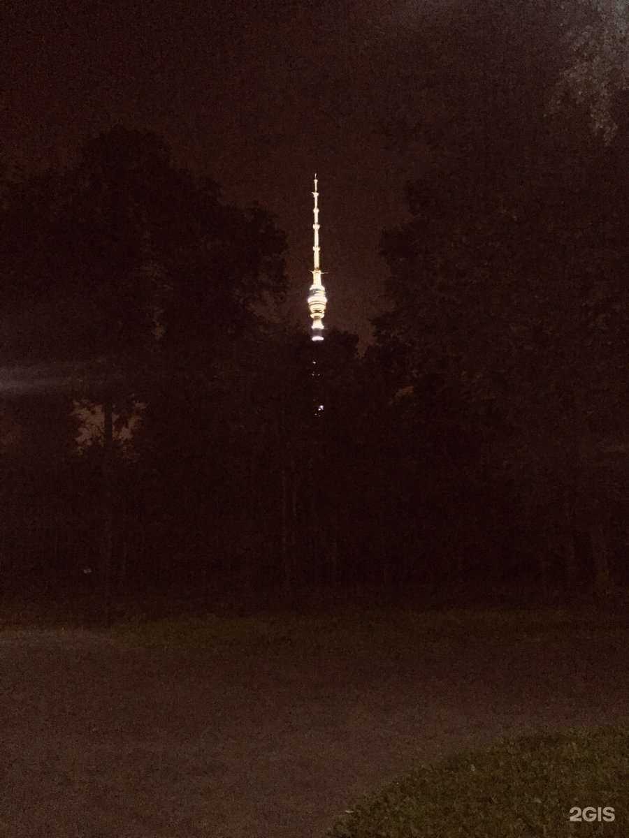 Отзывы на компанию Цветочное счастье в Твери c фото