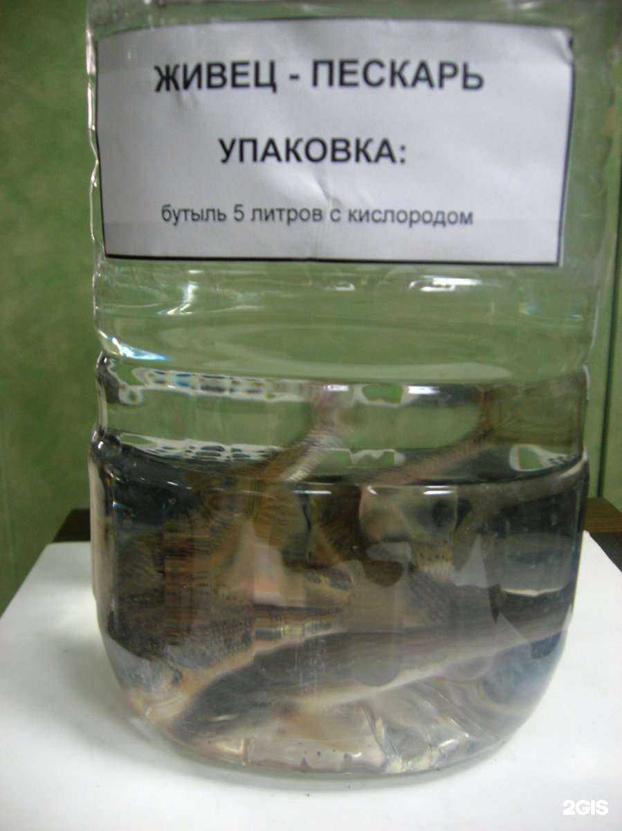 Отзывы на компанию Рыбачьте с нами в Омске c фото